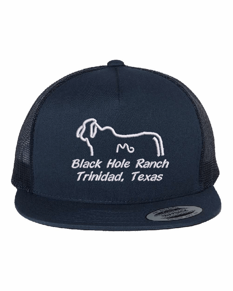 Black Hole Ranch Five Panel Classic Trucker Hat