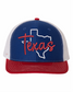 Texas 3D Puff Embroidered Hat