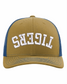 Tigers Upside Down Puff Embroidered Hat